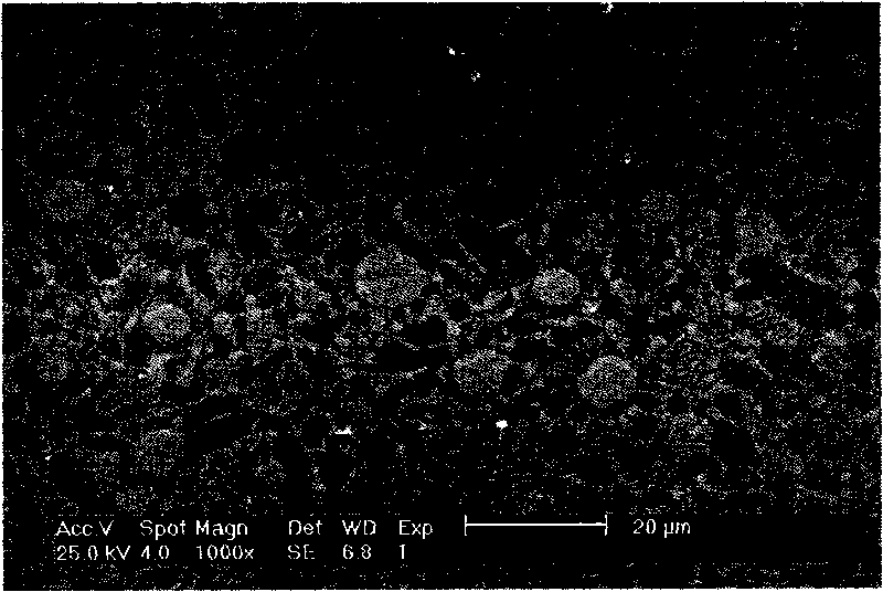 Magnesium base spherical quasicrystal master alloy and preparation method thereof