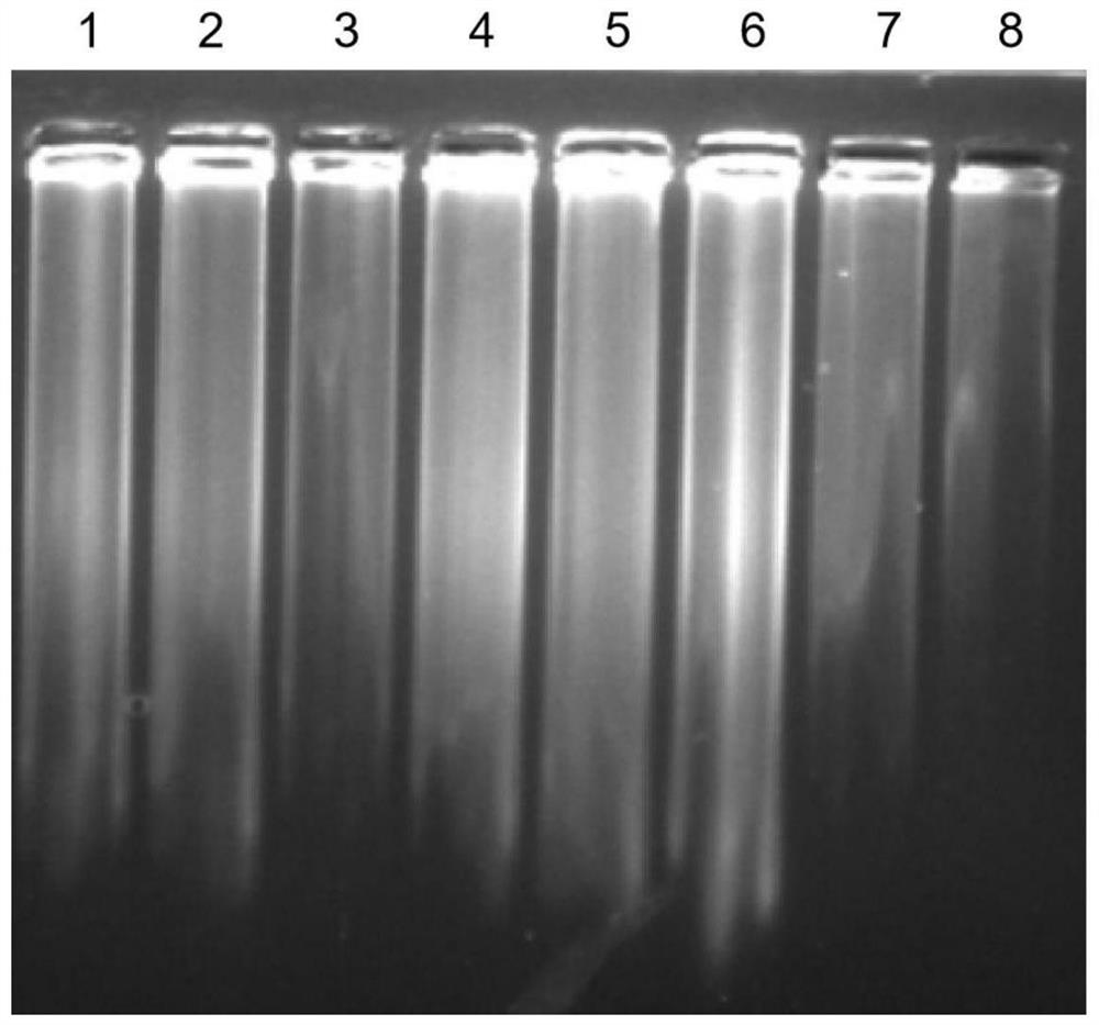 Dewaxing agent for treating paraffin embedded sample and method for extracting nucleic acid from paraffin embedded sample