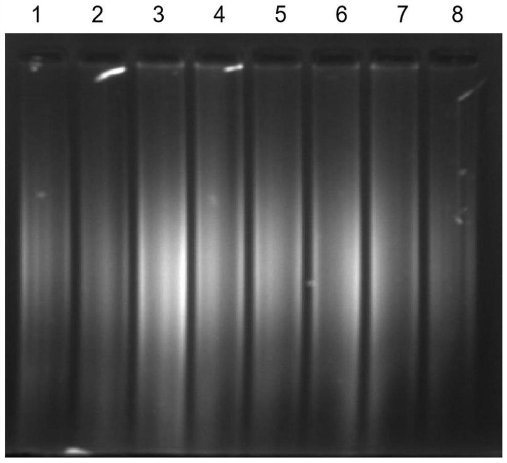 Dewaxing agent for treating paraffin embedded sample and method for extracting nucleic acid from paraffin embedded sample