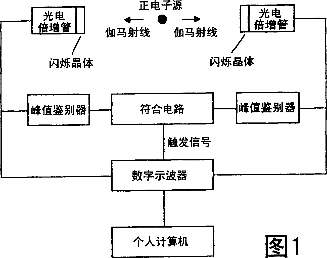 Radiation detector assembly