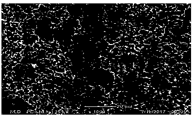 Novel aluminum corrosive foil pre-treatment process