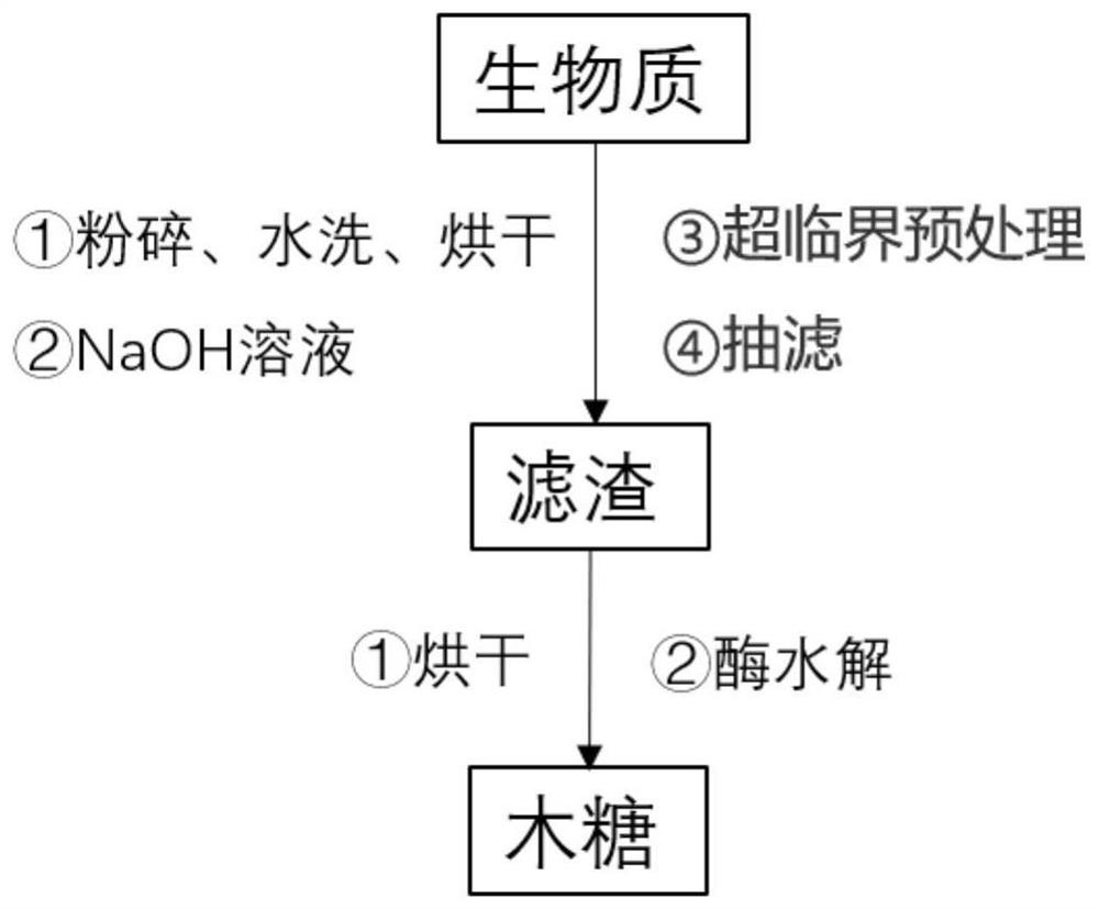 Method for pre-processing corn straw with supercritical carbon dioxide coupled with NaOH to enhance xylose conversion efficiency through enzymatic hydrolysis