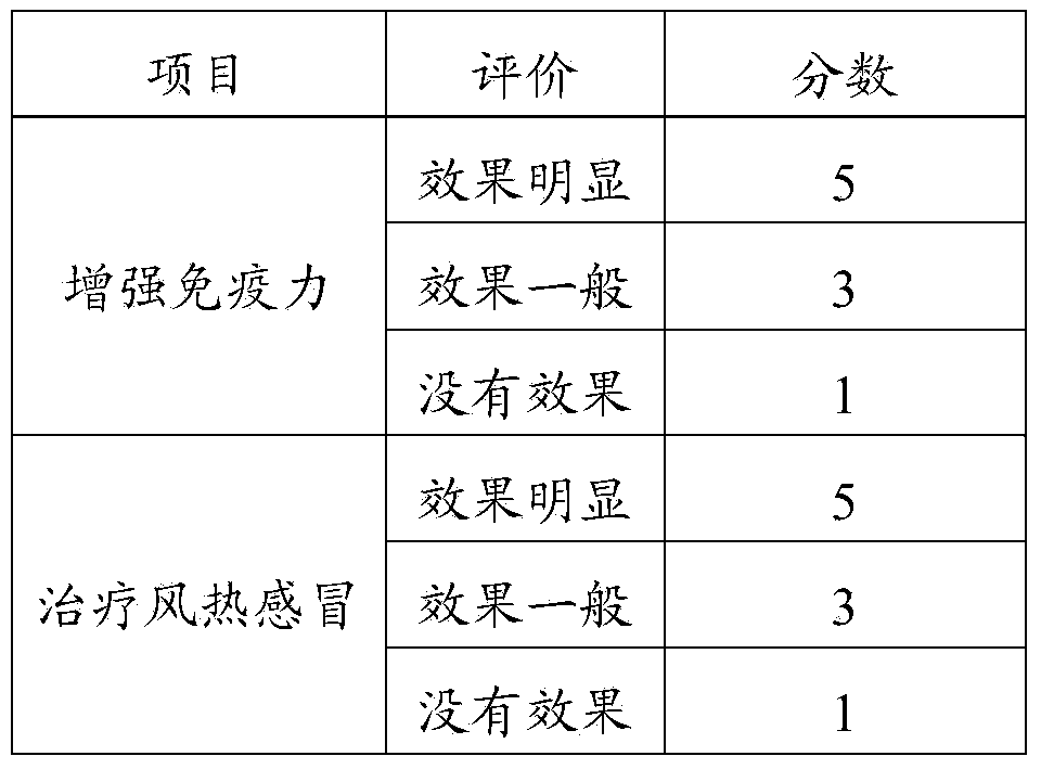 Traditional Chinese medicine composition, and application and preparation method thereof