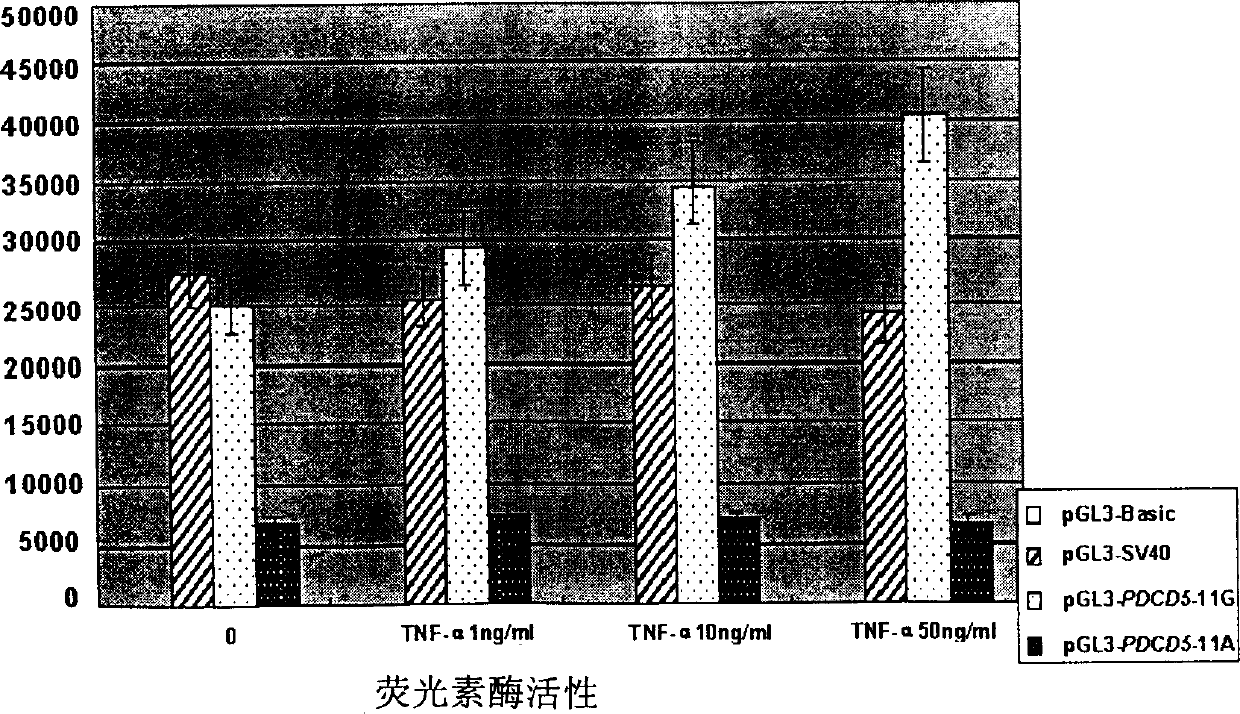 Reagent and method for detecting leucocythemia susceptibility