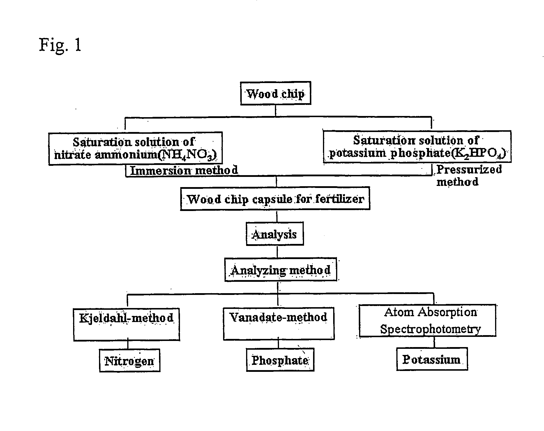 Wood chip capsule for fertilizer, agriculture pesticides and plant growth regulator, process and apparatus for producing the same