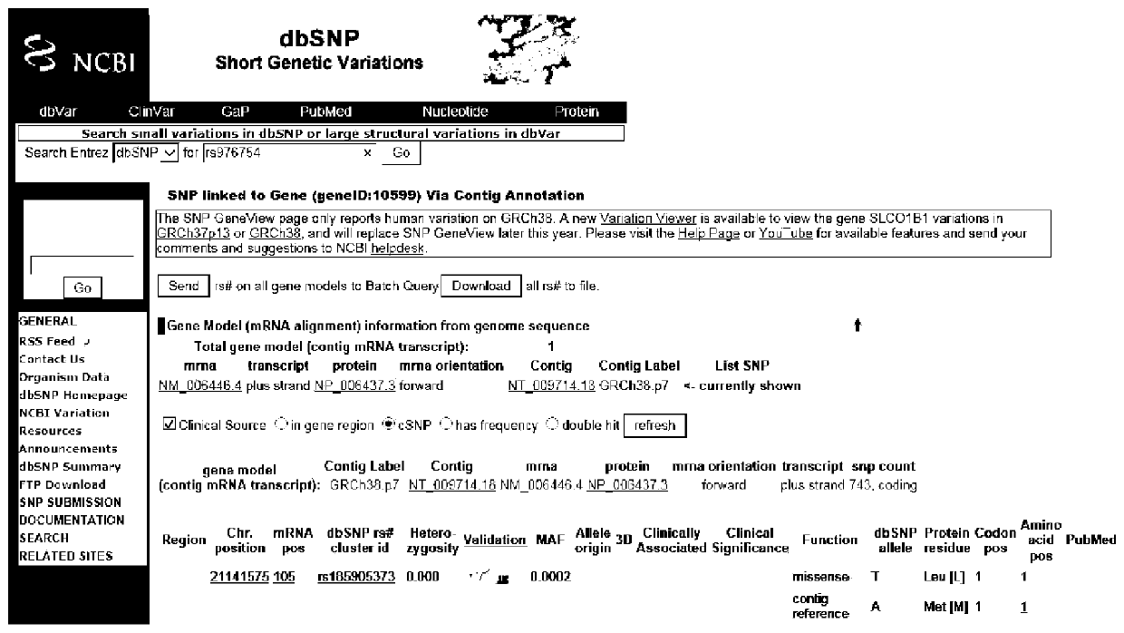 Device for detecting statin-associated myopathy through single nucleotide polymorphism rs976754 and application