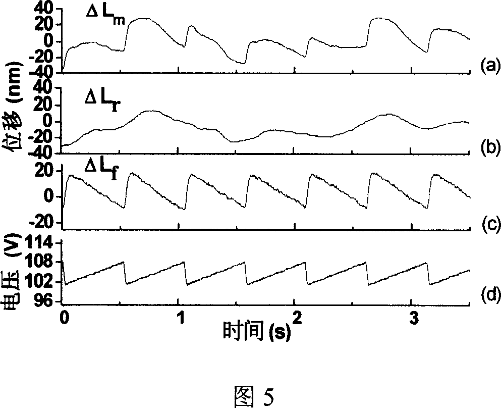 Quasi-common path type feedback interferometer of laser in microchip