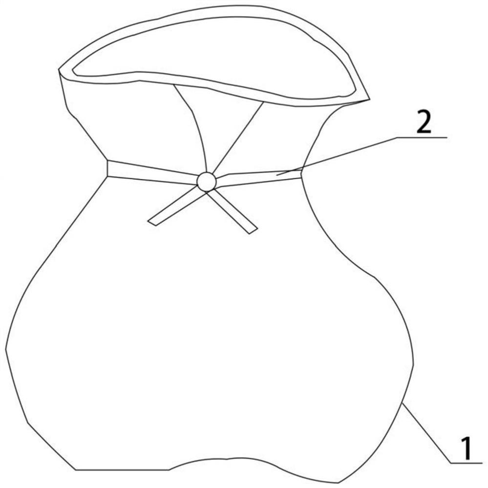 Bean product bag-shaped object capable of being filled with seafood materials and preparation method of bean product bag-shaped object