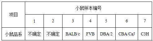 Application of SNP (Single Nucleotide Polymorphism) marker in inbred line mouse strain identification and primer sequence