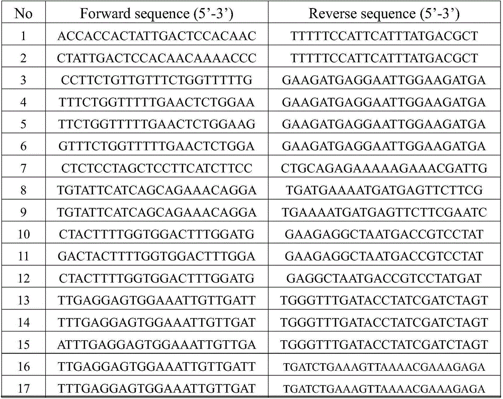 SSR molecular marker for salt tolerance of Fraxinus velutina