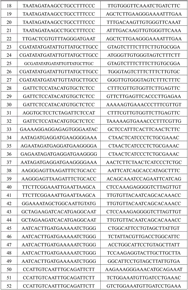 SSR molecular marker for salt tolerance of Fraxinus velutina