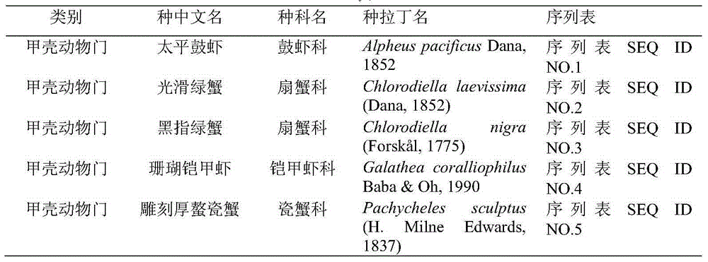 COI gene sequence of species of coral reef benthos and species identification method utilizing COI gene sequence