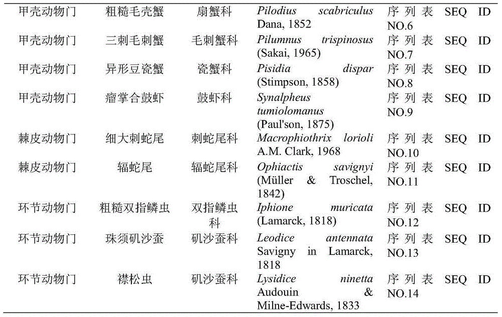 COI gene sequence of species of coral reef benthos and species identification method utilizing COI gene sequence