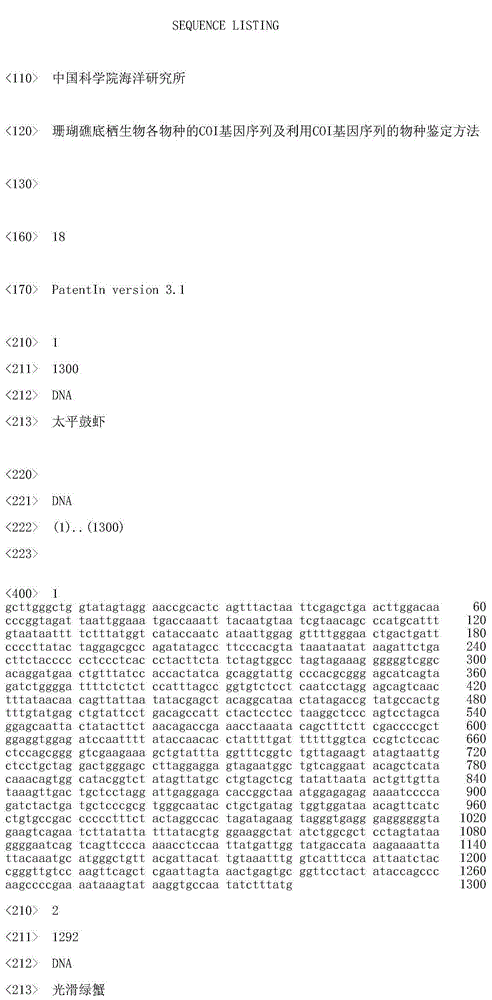 COI gene sequence of species of coral reef benthos and species identification method utilizing COI gene sequence