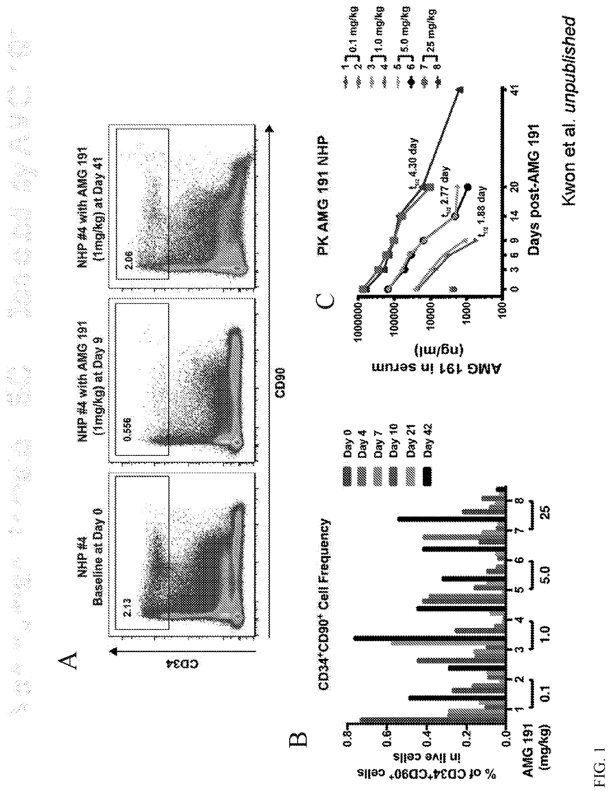 Hematopoietic Stem Cell Engraftment