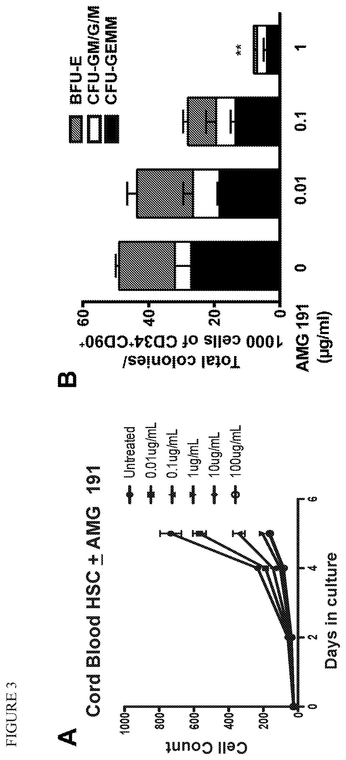 Hematopoietic Stem Cell Engraftment