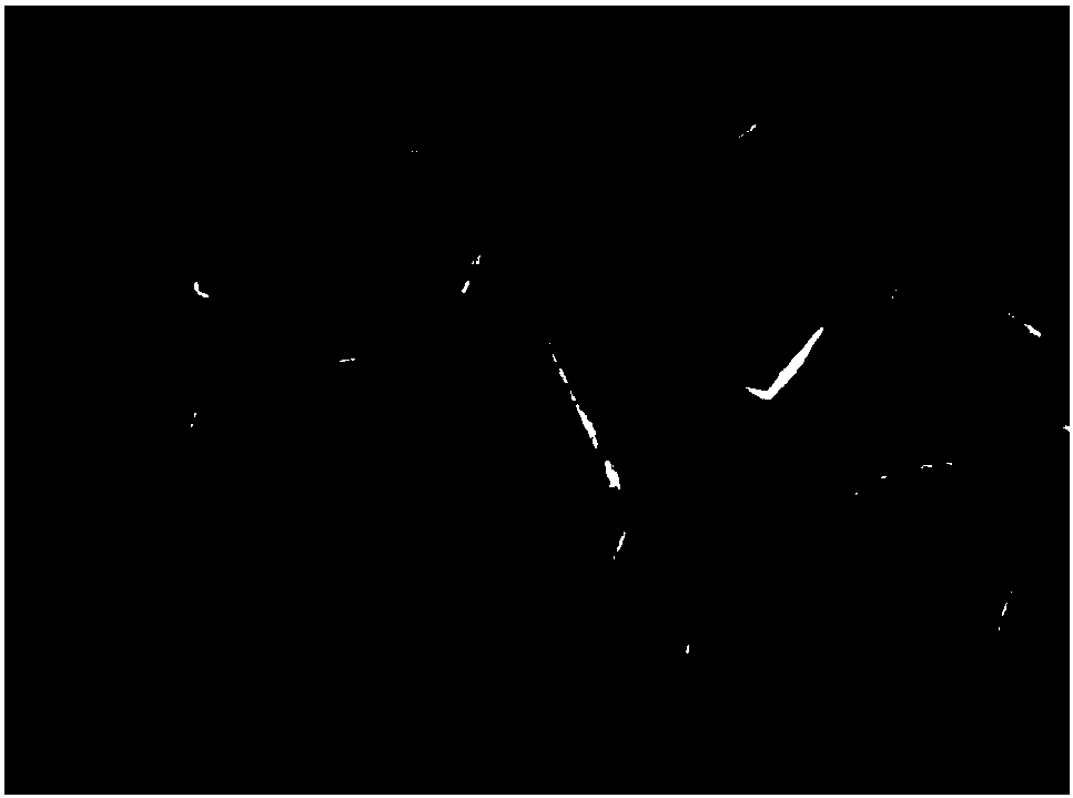 Preparation method and application of MIL-100(Fe) nanometer catalyst