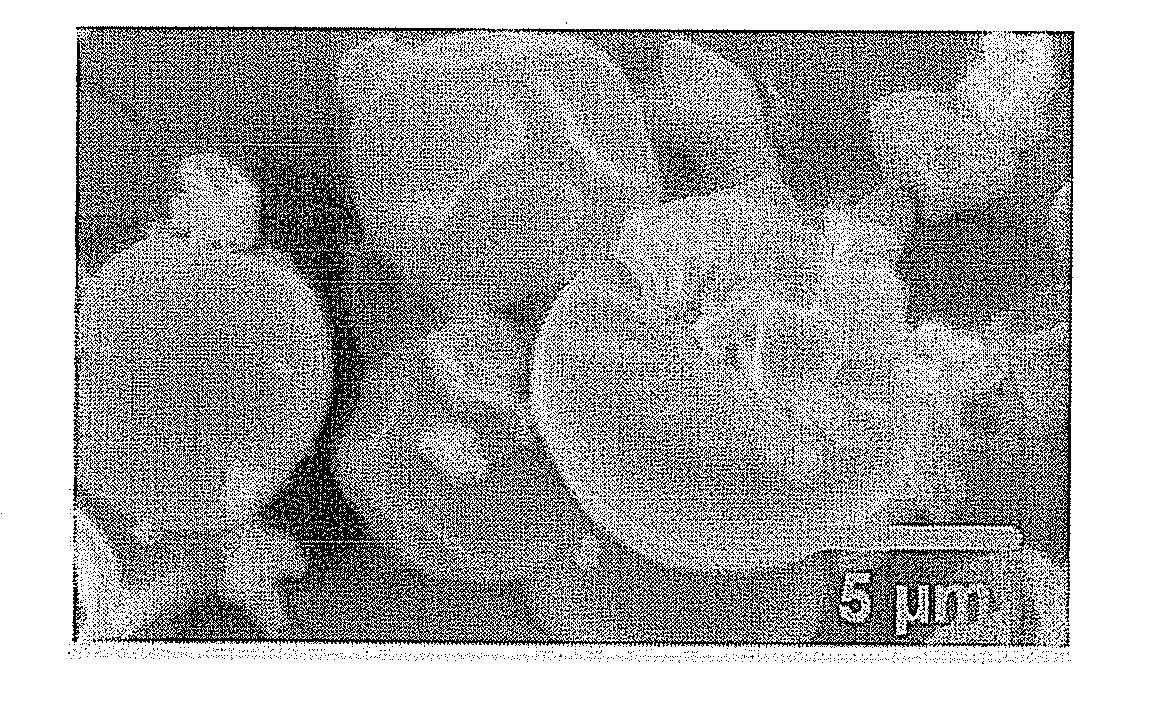 Hydroxyalkylcellulose microparticles