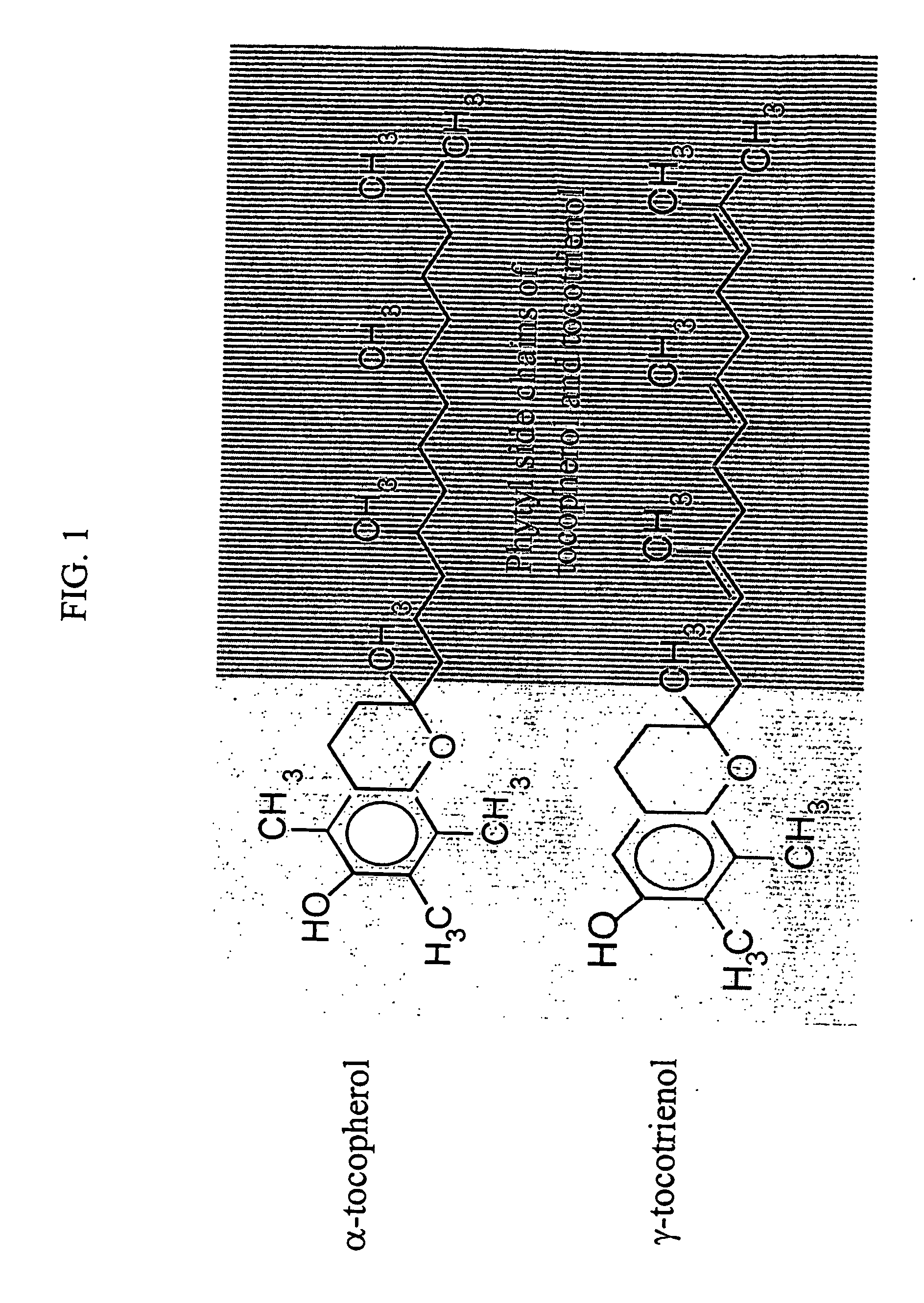 Radiation protection by gamma-tocotrienol