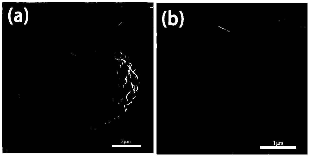 Preparation method of phosphate-coated metal-doped ternary cathode active material and preparation and application thereof