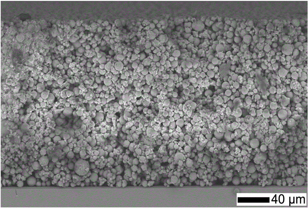 Method for preparing wear-resistant superhydrophilic underwater super oleophobic surface on basis of swelling method