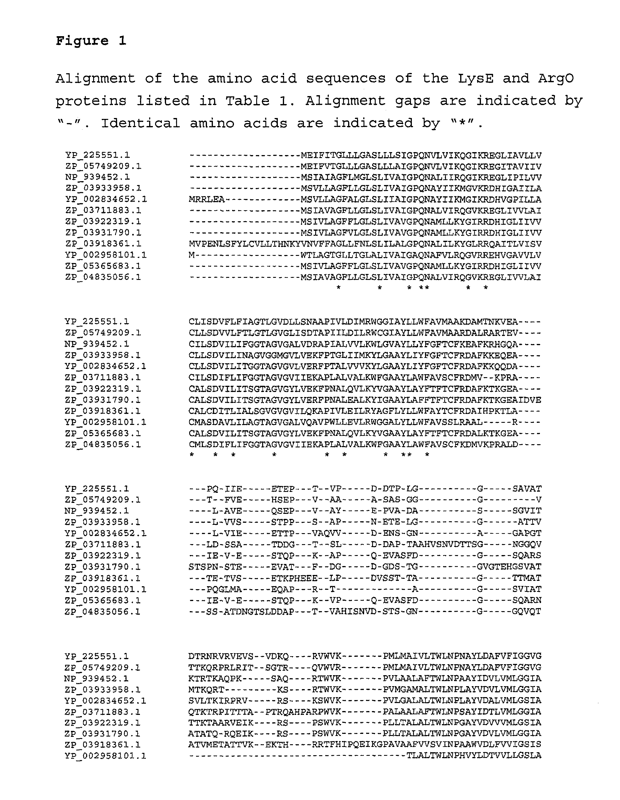 Process for the fermentative preparation of l -ornithine