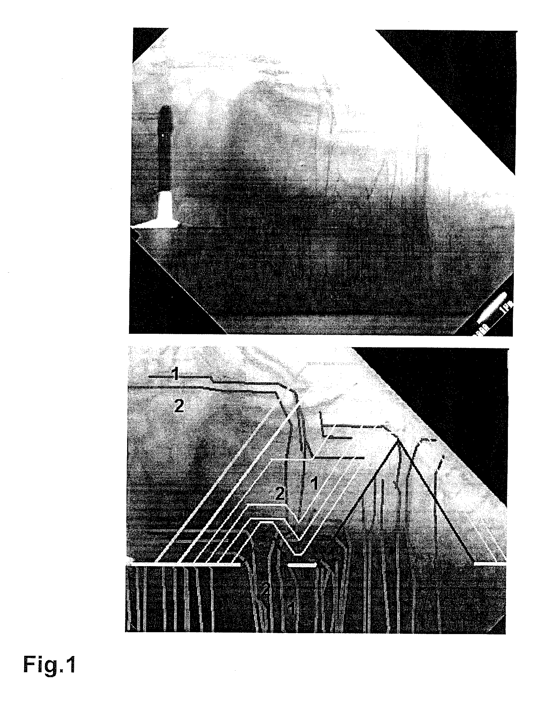 Process for Growth of Low Dislocation Density Gan