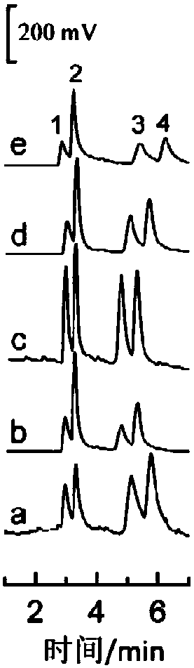 Gold nanoparticle/reduced graphene oxide composite electrode, and preparation and application thereof