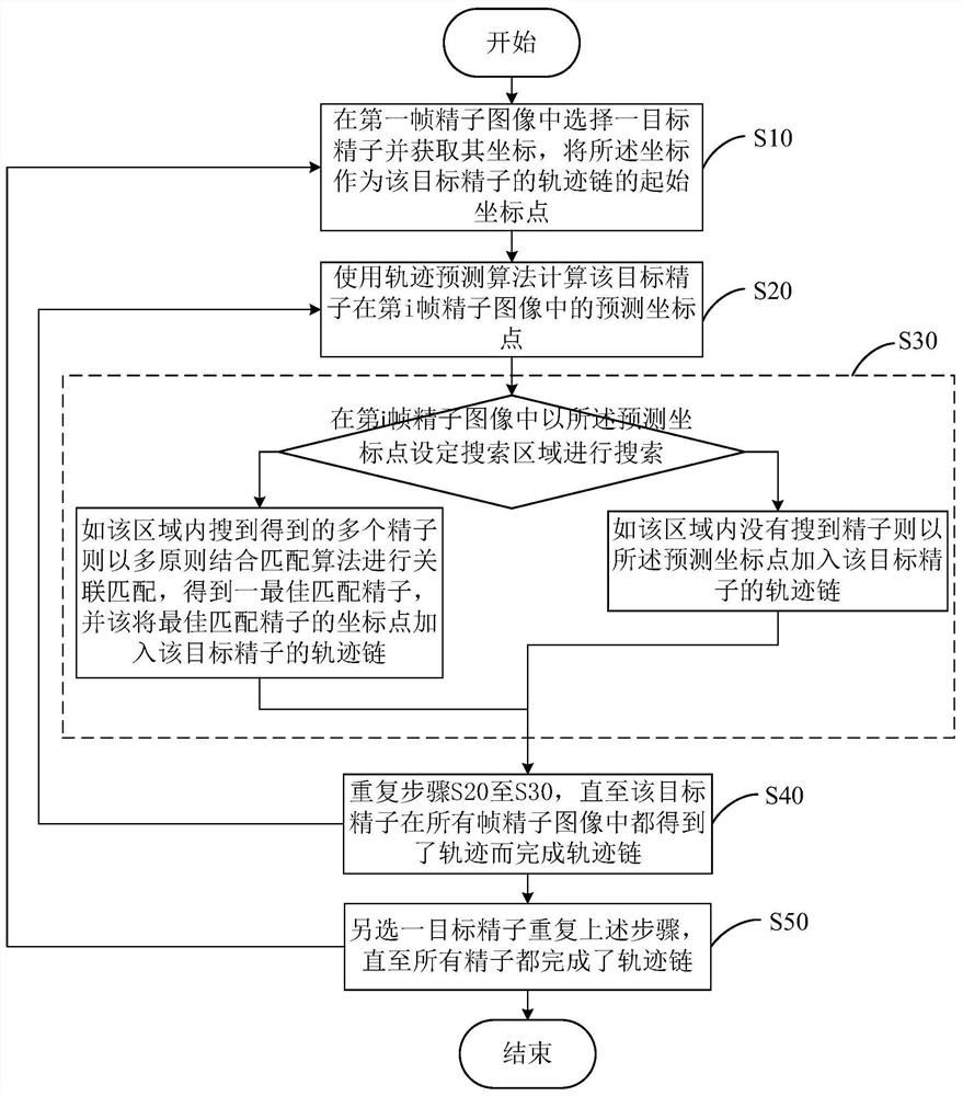 Sperm recognition and multi-target trajectory tracking method