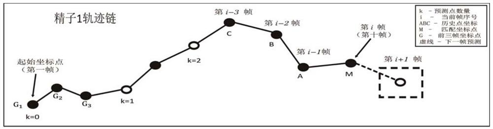 Sperm recognition and multi-target trajectory tracking method