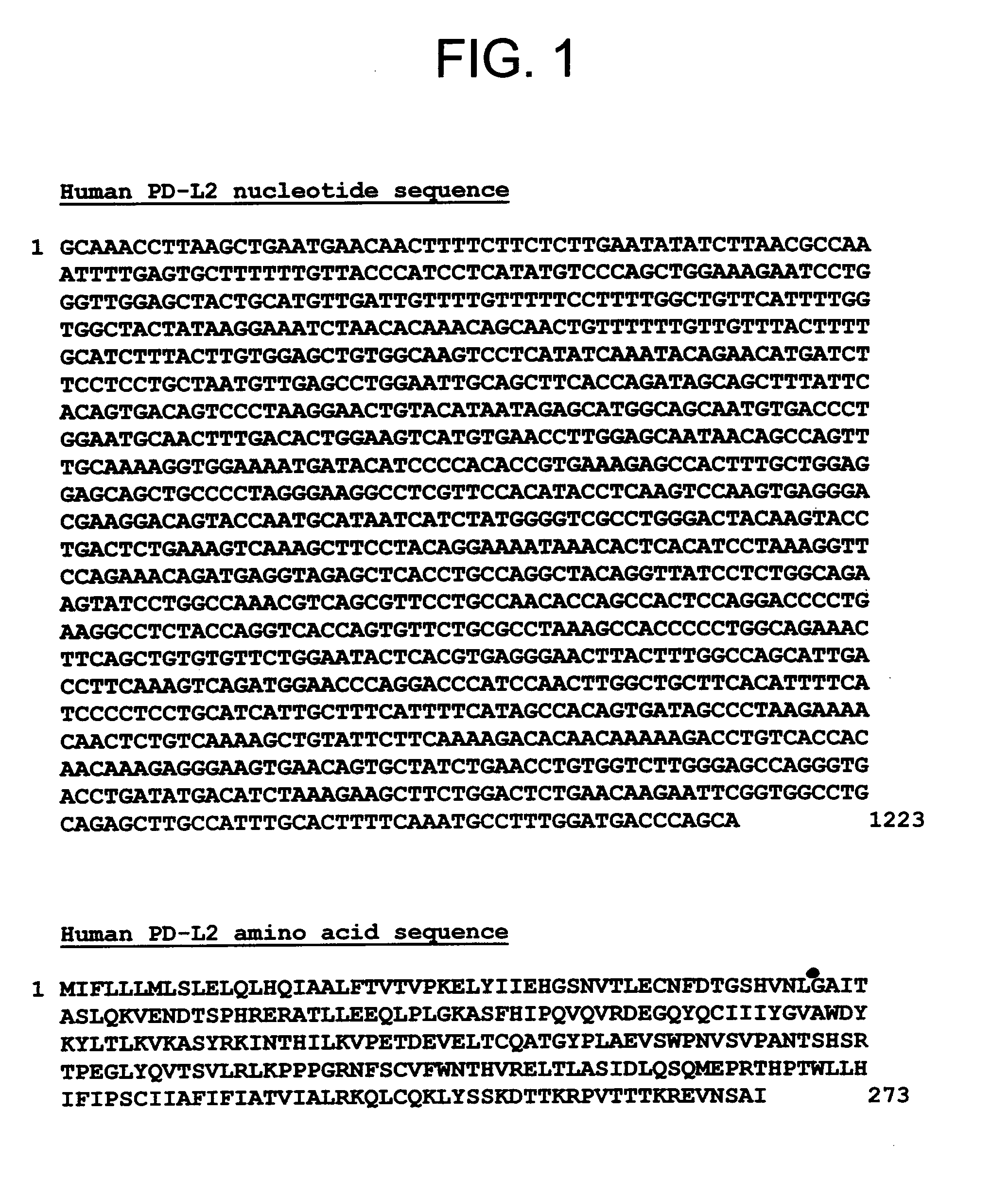 PD-L2 Molecules: Novel PD-1 Ligands and Uses Therefor