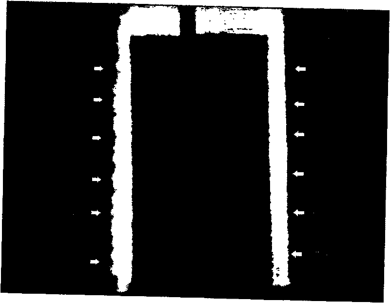 Detection method of molecules, and appliction