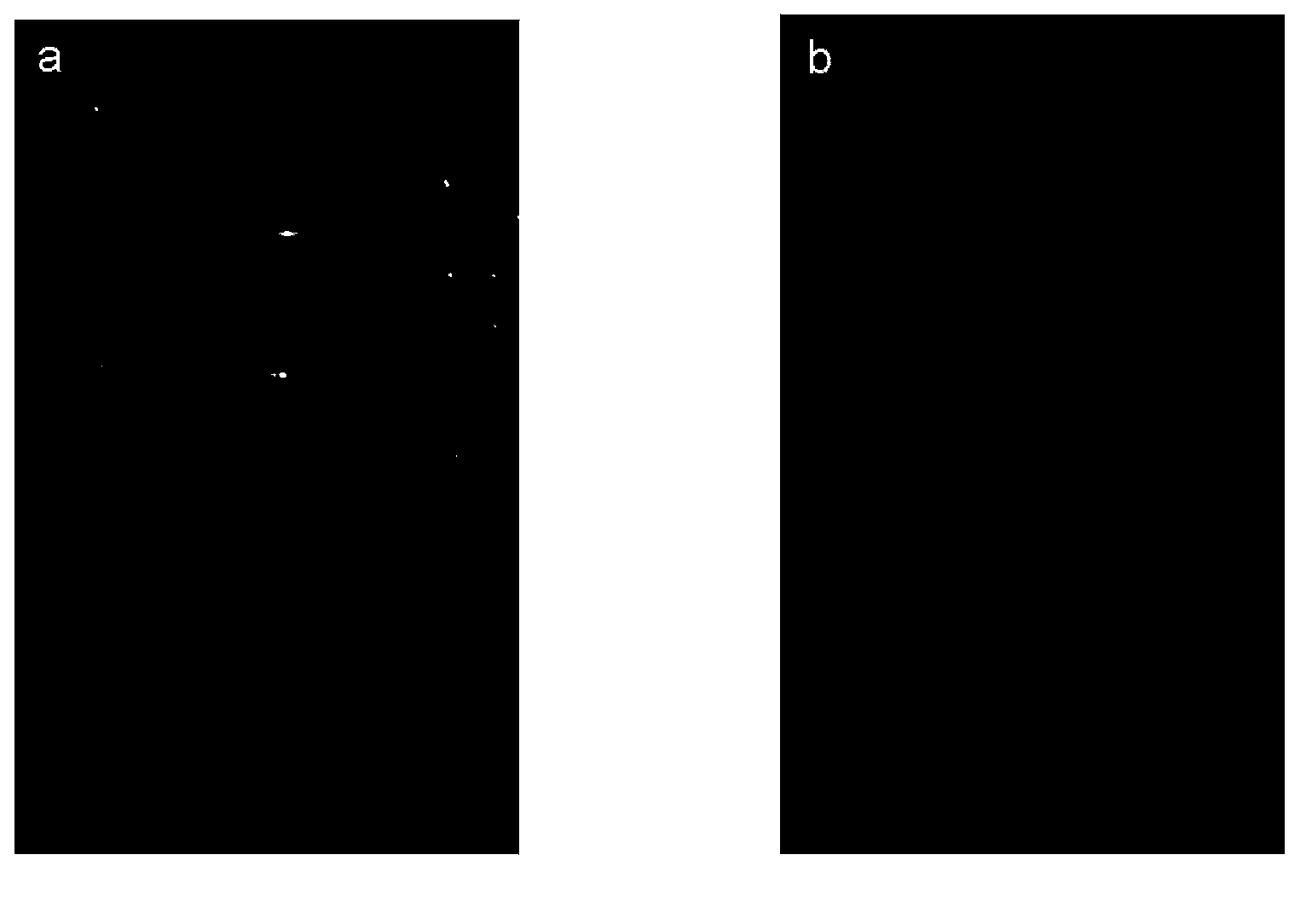 Waterborne fluorescent falsification-resistant ink and preparation method thereof