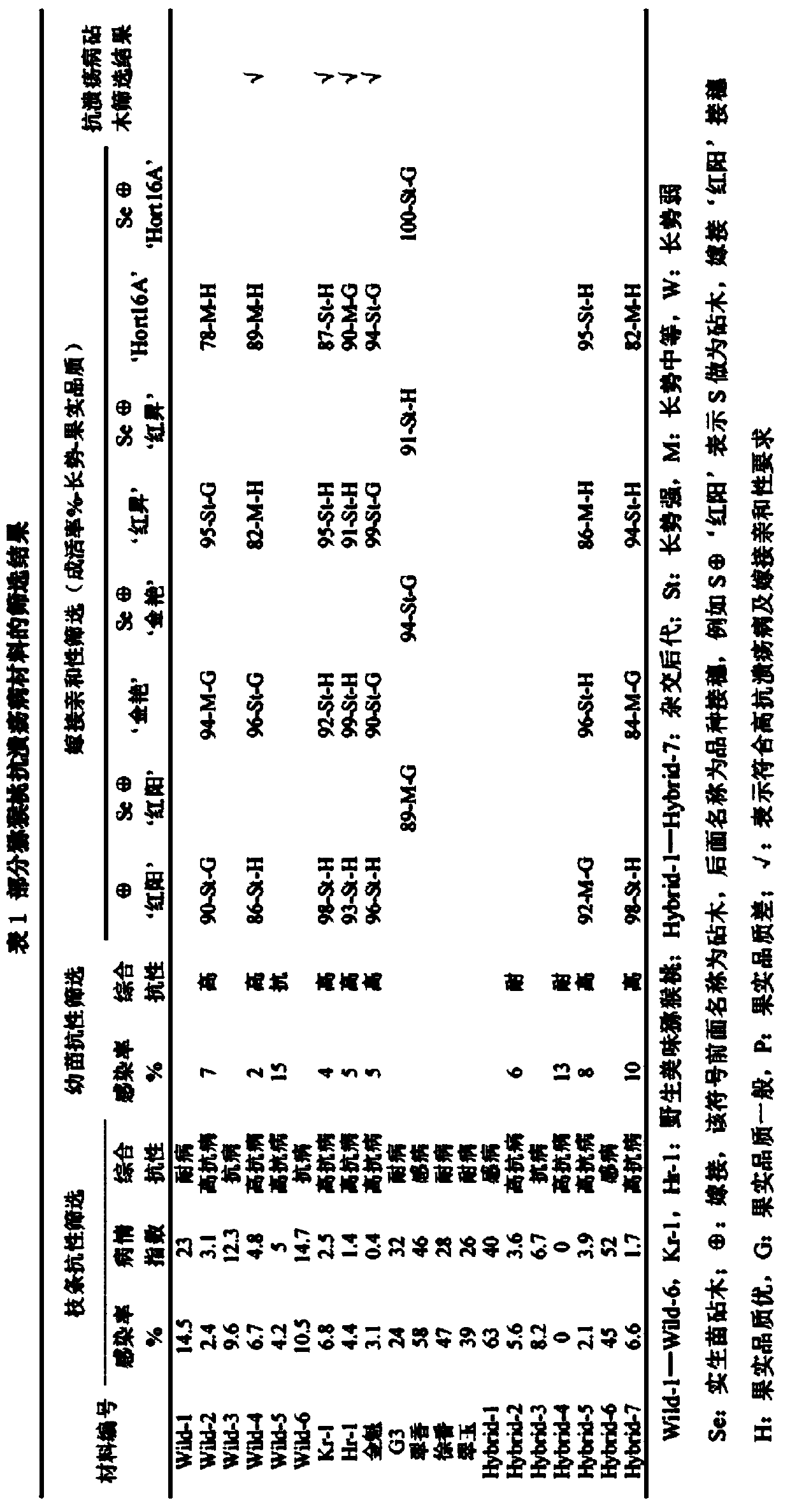 A kind of production method of kiwifruit canker-resistant two-way virus-free large seedlings