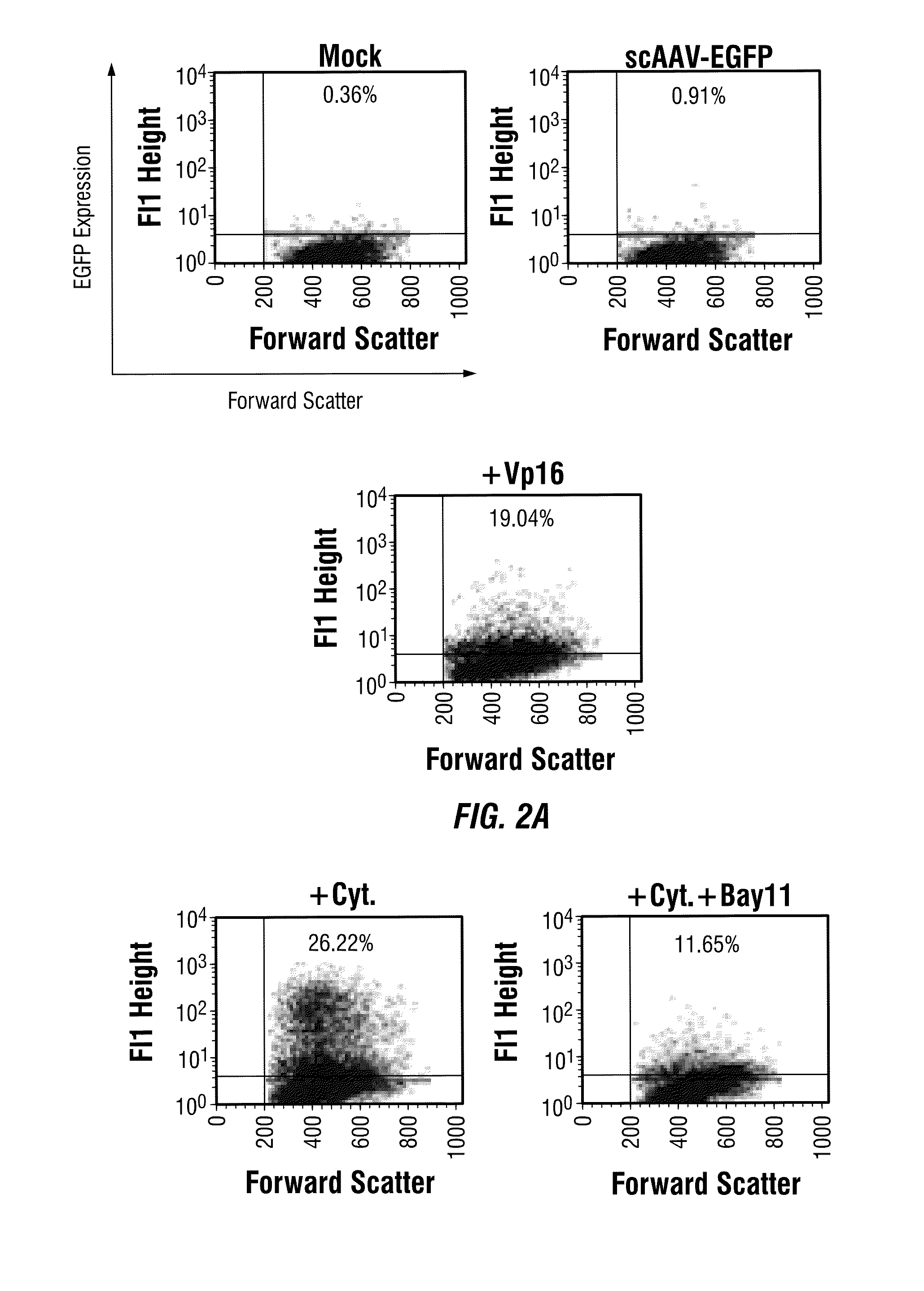 CAPSID-MODIFIED rAAV VECTOR COMPOSITIONS HAVING IMPROVED TRANSDUCTION EFFICIENCIES, AND METHODS OF USE