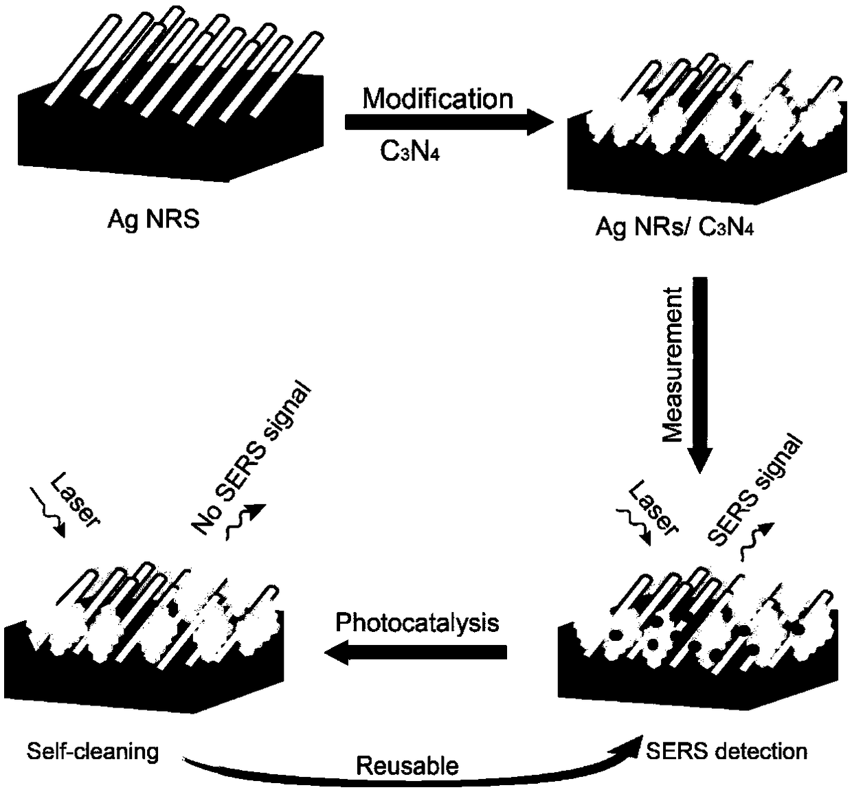 AgNR/O-g-C3N4 substrate, preparation method and application thereof in recyclable SERS sensitive detection