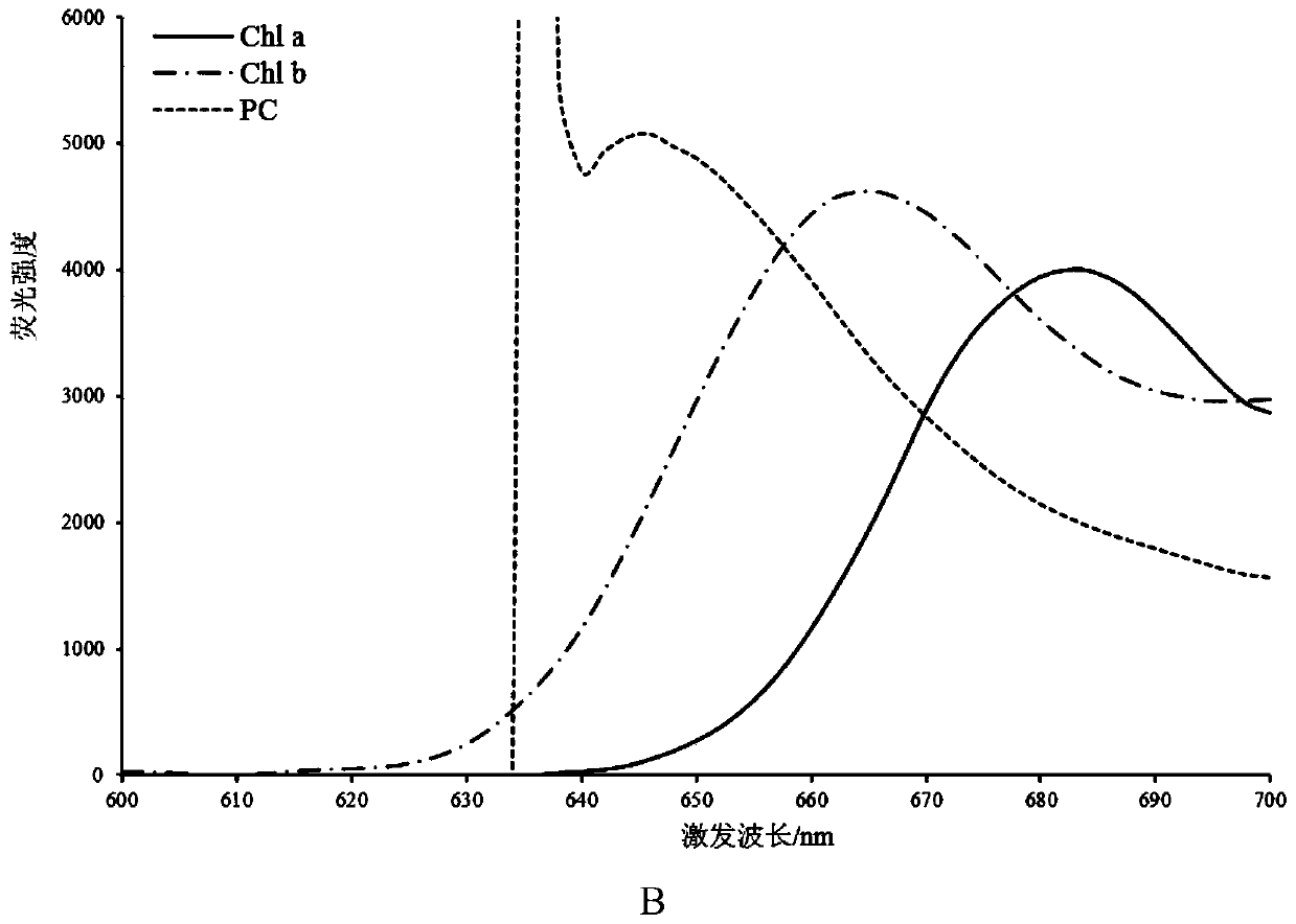 Method of Improving the Accuracy of In-Situ Detection of Cyanobacteria Using Anti-fluorescence Interference Decoupling Algorithm