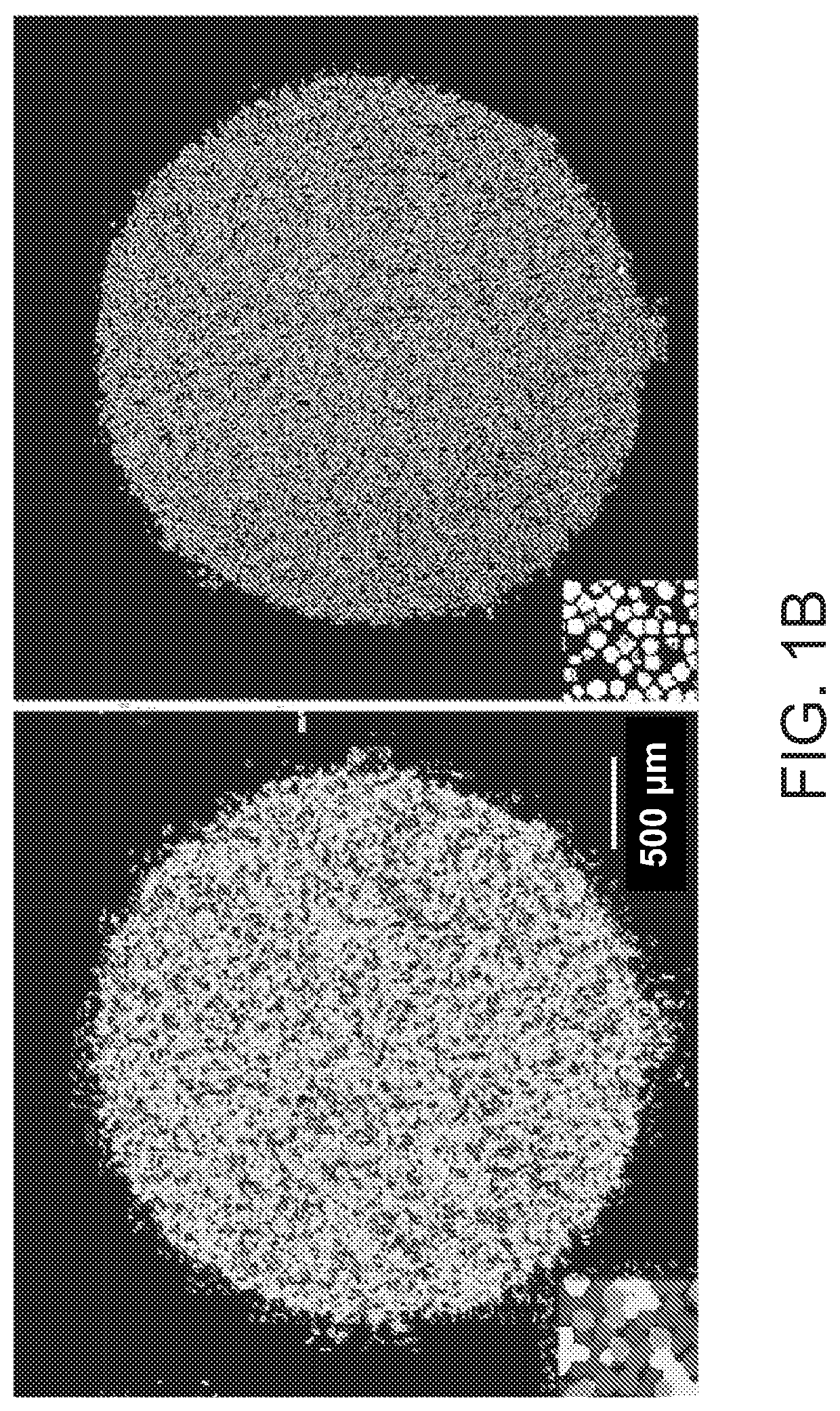 High-resolution spatial macromolecule abundance assessment