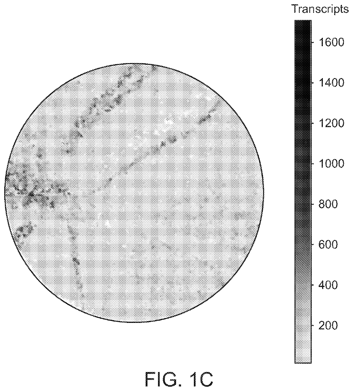 High-resolution spatial macromolecule abundance assessment