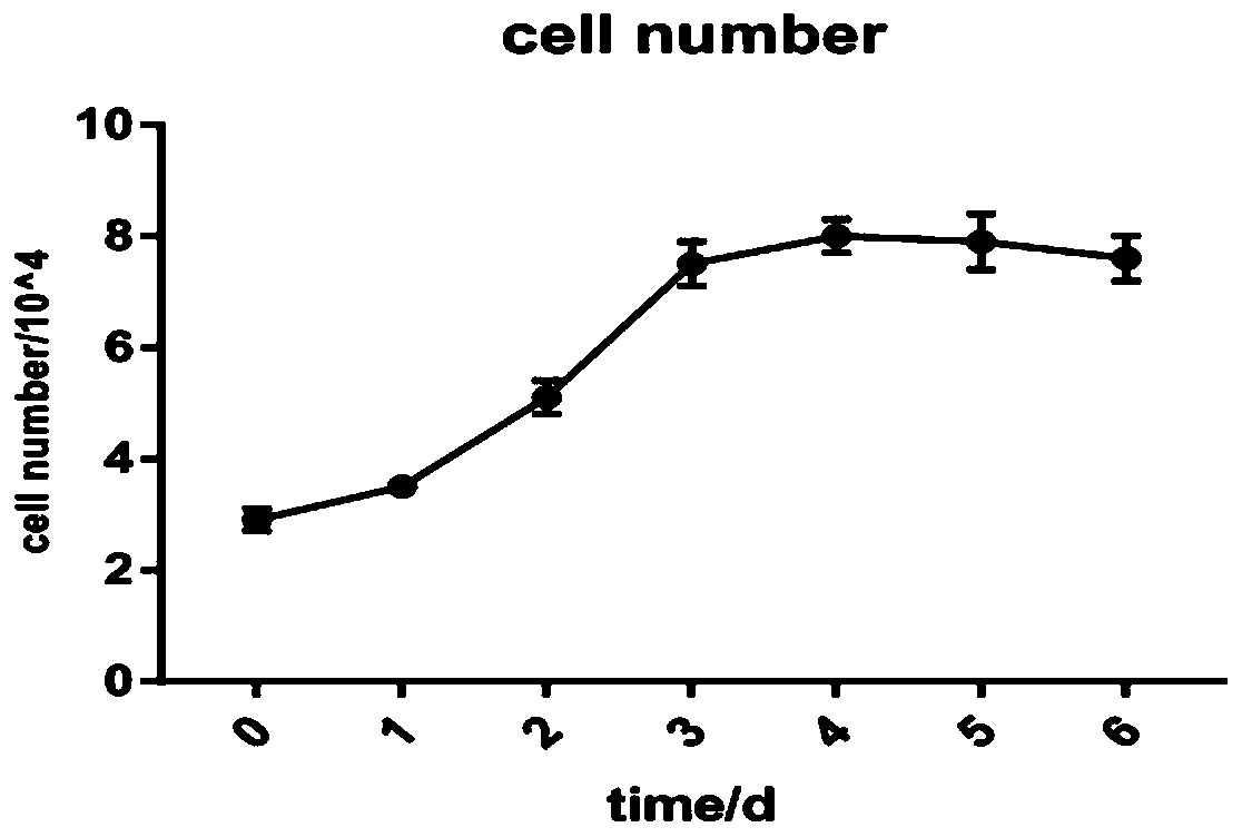 In-vitro culture, identification and induced differentiation method of sebastes schlegeli myoblasts