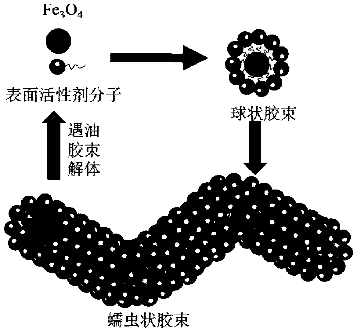 Viscoelastic nano-magnetic fluid for improving crude oil recovery ratio of tight reservoir, and preparation method thereof