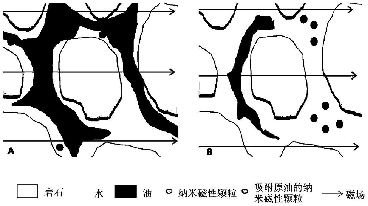 Viscoelastic nano-magnetic fluid for improving crude oil recovery ratio of tight reservoir, and preparation method thereof