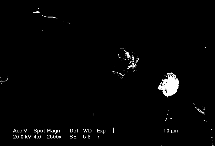 Preparation method and application of polyisophthaloyl metaphenylene diamine-polyacrylonitrile composite nanofiber film