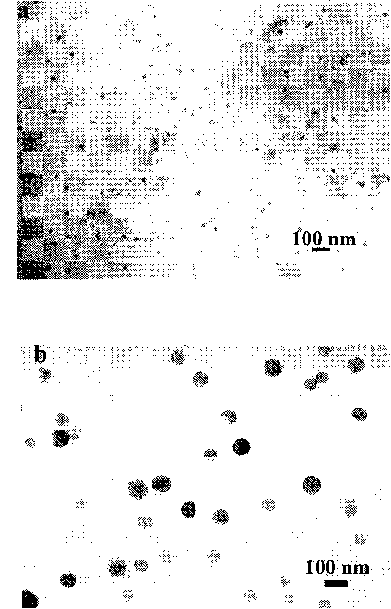 Fluorescent nanoparticle and preparation method and application thereof