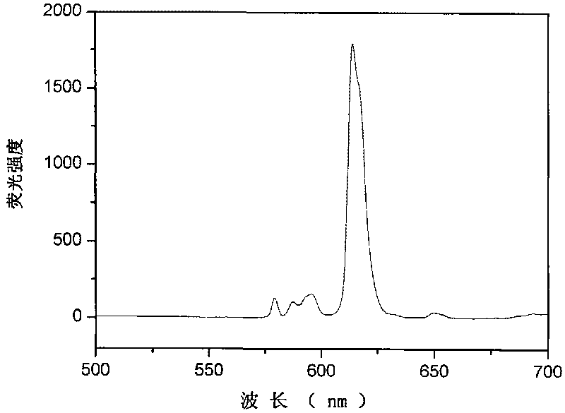 Fluorescent nanoparticle and preparation method and application thereof