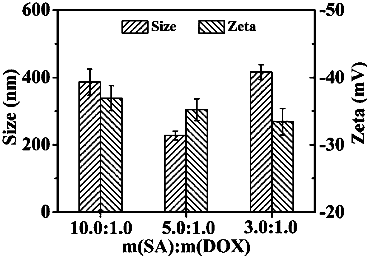 A kind of pH responsive sodium alginate nanogel and preparation method thereof