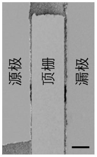 Method and application of growing ultra-thin high-quality oxide films on two-dimensional layered materials