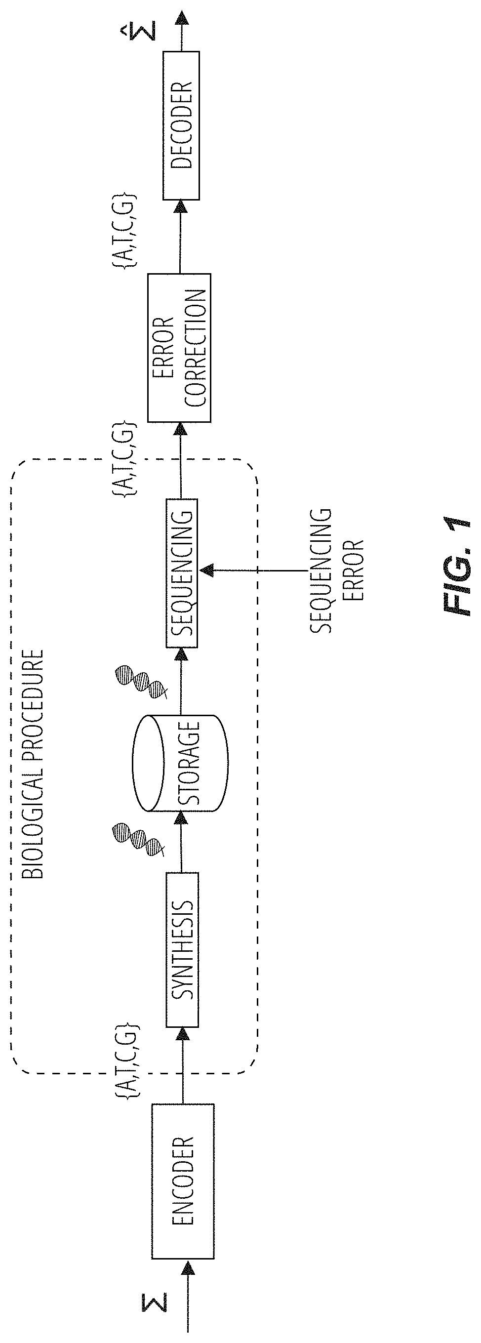 Methods for storing digital data as, and for transforming digital data into, synthetic DNA