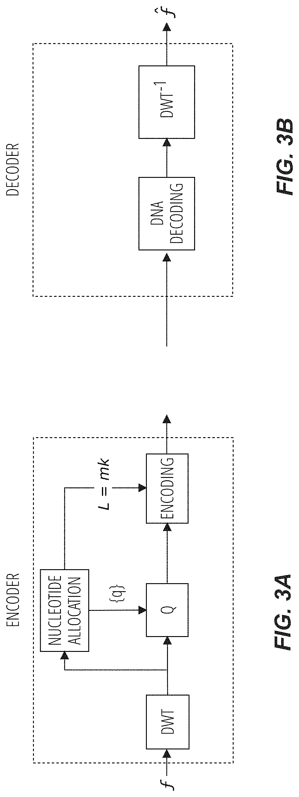 Methods for storing digital data as, and for transforming digital data into, synthetic DNA