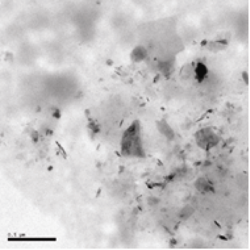 Preparation method of waterborne polyurethane material with resistance to yellowing